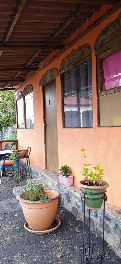 B&B Amigos De La Naturaleza Las Manchas  Стая снимка